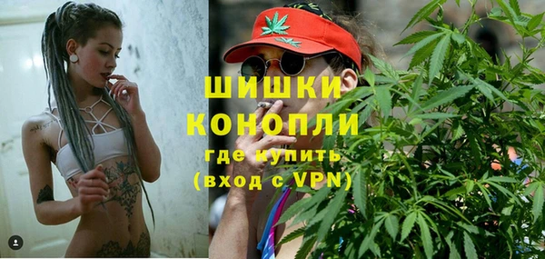 спайс Алексин