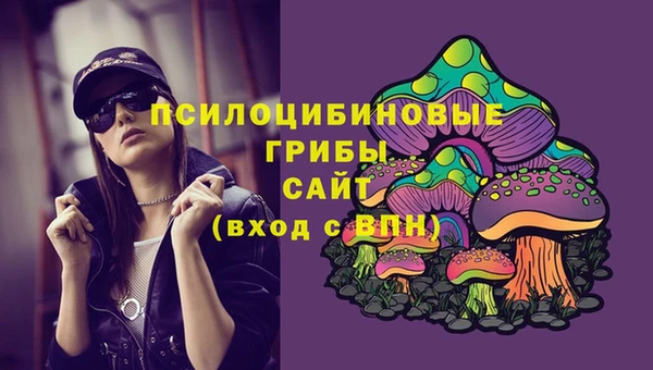 героин Алзамай