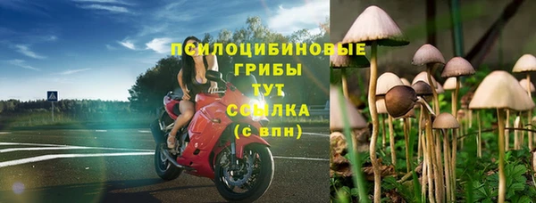 спайс Алексин